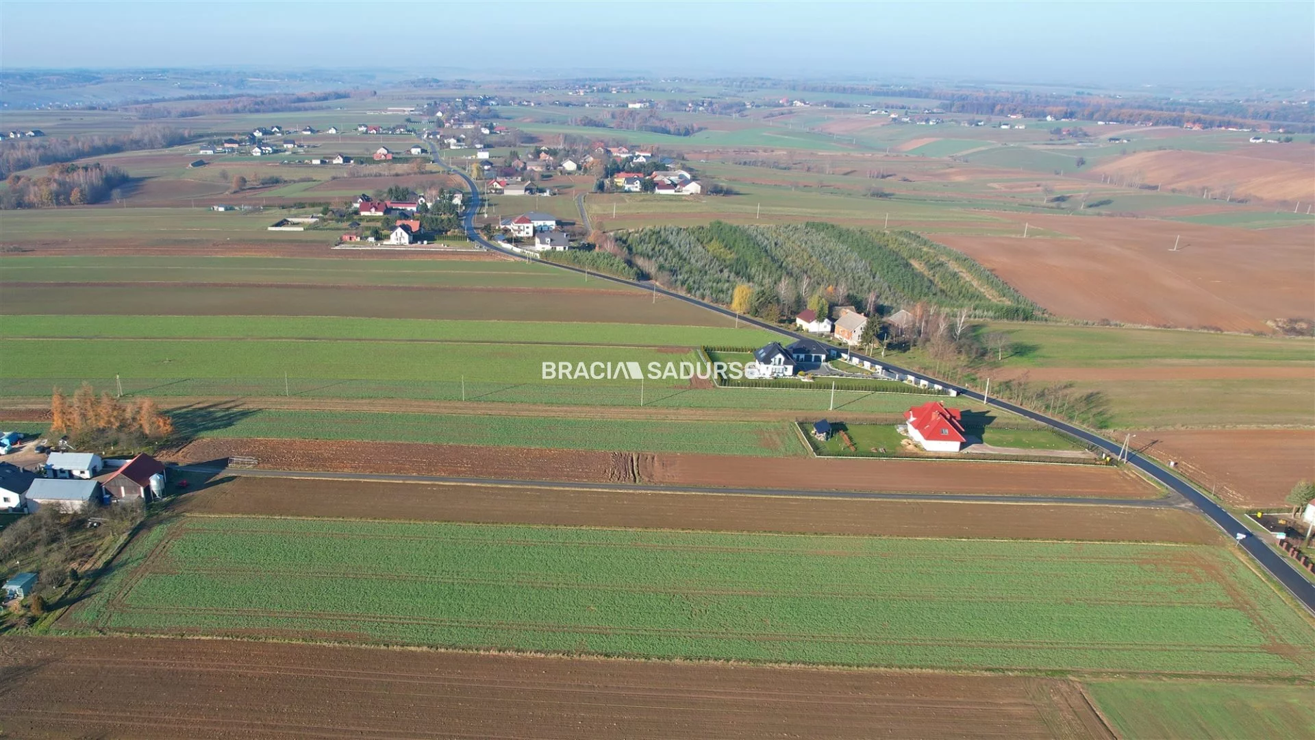 BS5-GS-305124-24 - zdjęcie nr 4