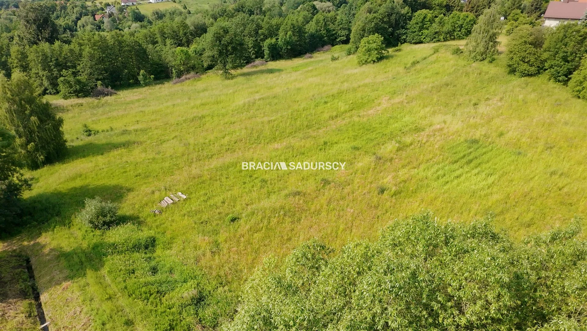 BS2-GS-309757-2 - zdjęcie nr 4