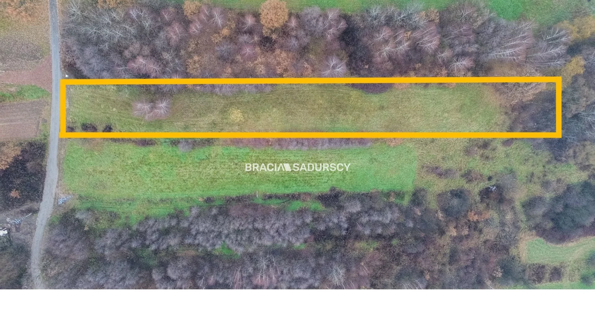 BS1-GS-309513-33 - zdjęcie nr 0