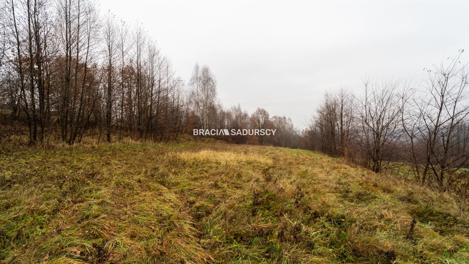 BS1-GS-309513-33 - zdjęcie nr 3