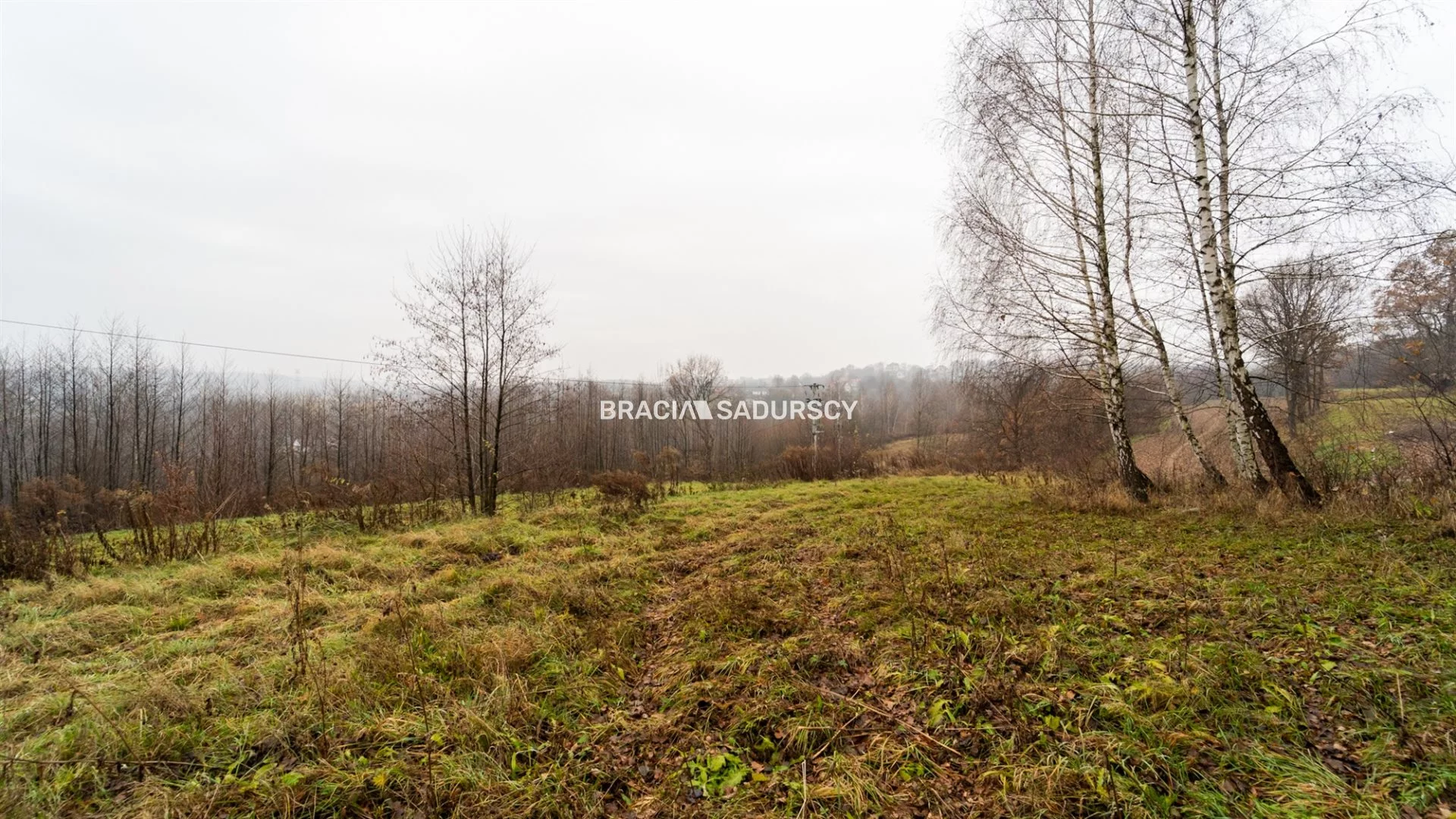BS1-GS-309513-33 - zdjęcie nr 4