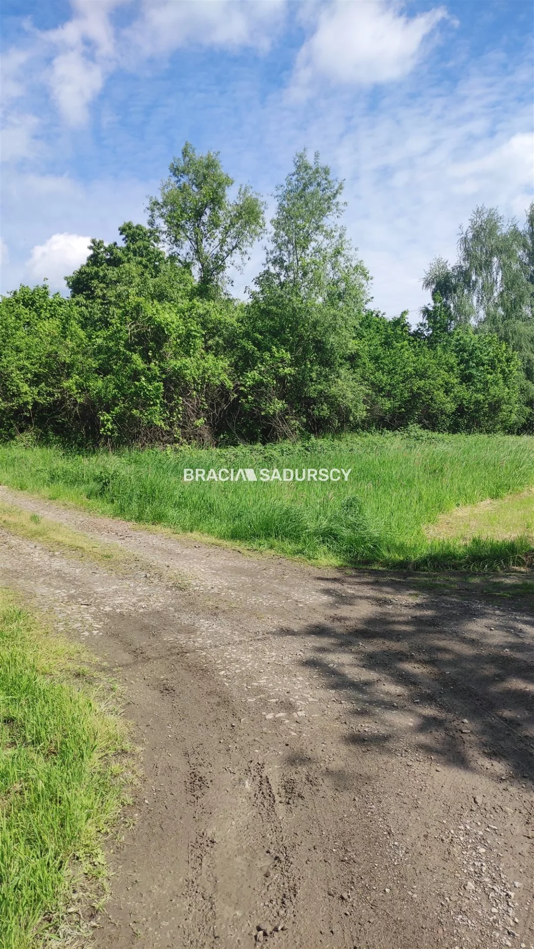 BS5-GS-306426-112 - zdjęcie nr 0