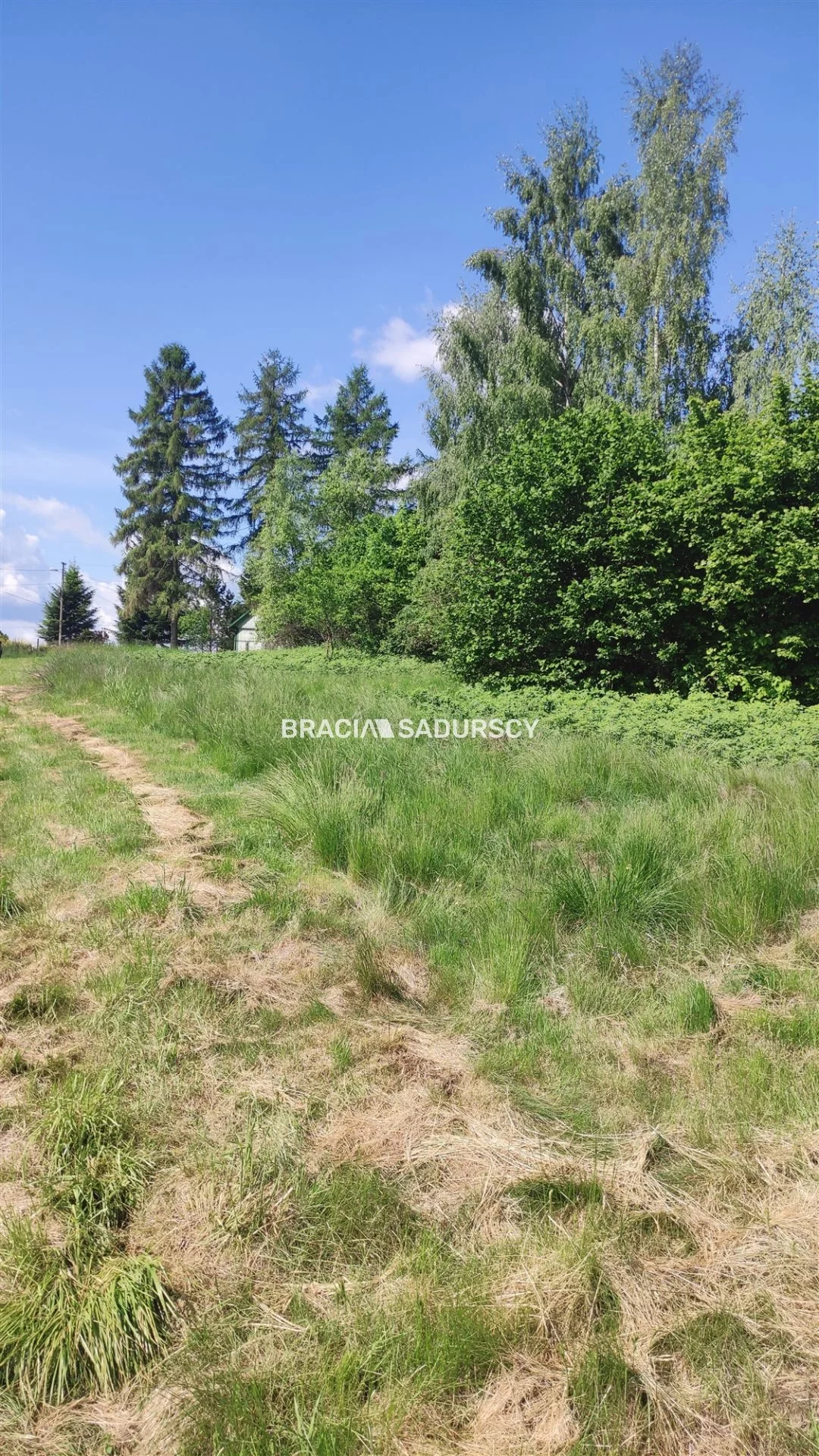 BS5-GS-306426-112 - zdjęcie nr 2