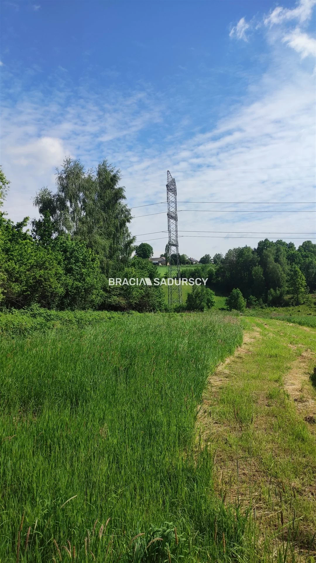 BS5-GS-306426-112 - zdjęcie nr 4
