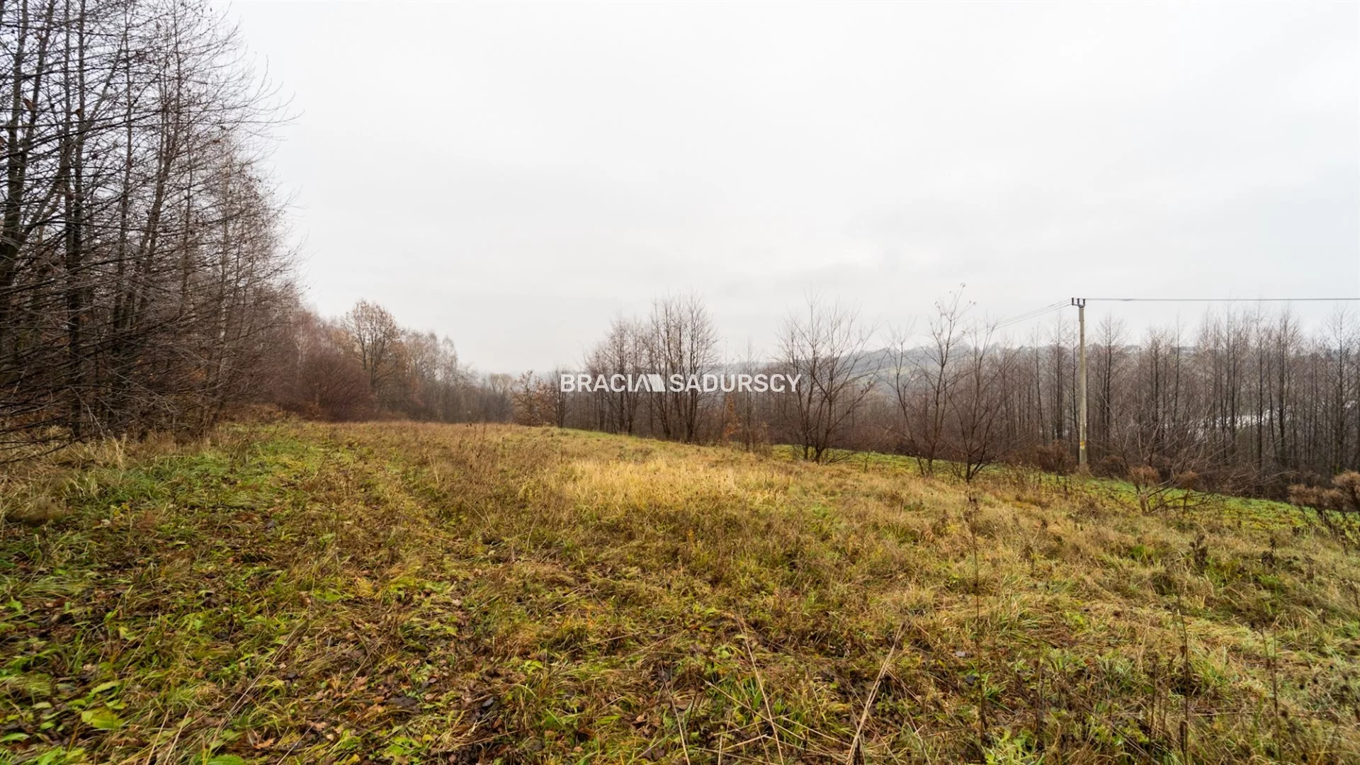 Działka 3 600,00 m², oferta nr , BS1-GS-309513-37, Wieliczka