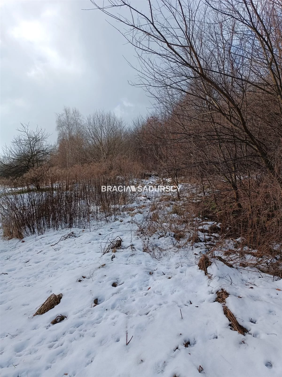Działka 9 900,00 m², oferta nr , BS1-GS-309616-196, Wieliczka