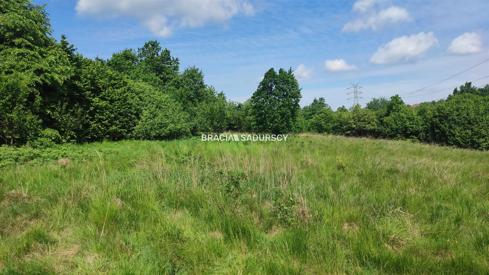 Działka 10 500,00 m², oferta nr , BS5-GS-306426-115, Wieliczka