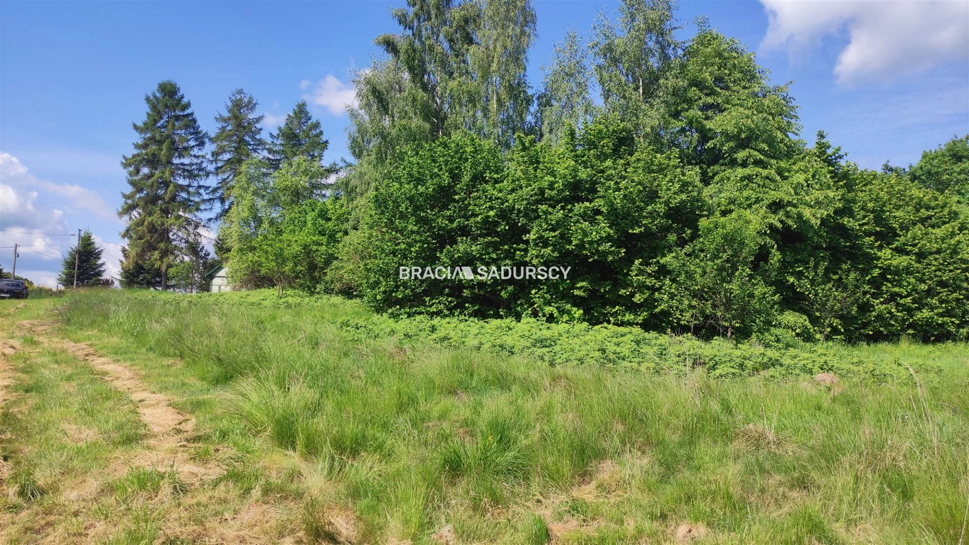 Działka 10 500,00 m², oferta nr , BS5-GS-306426-115, Wieliczka