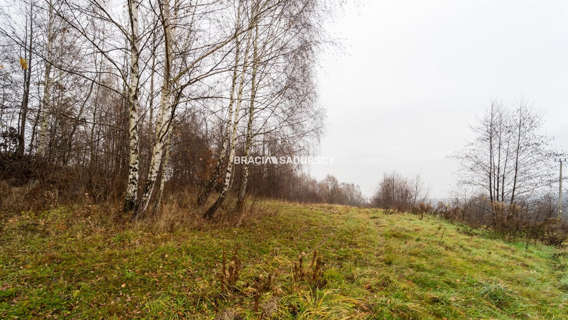 Działka 3 600,00 m², oferta nr , BS1-GS-309513-40, Wieliczka