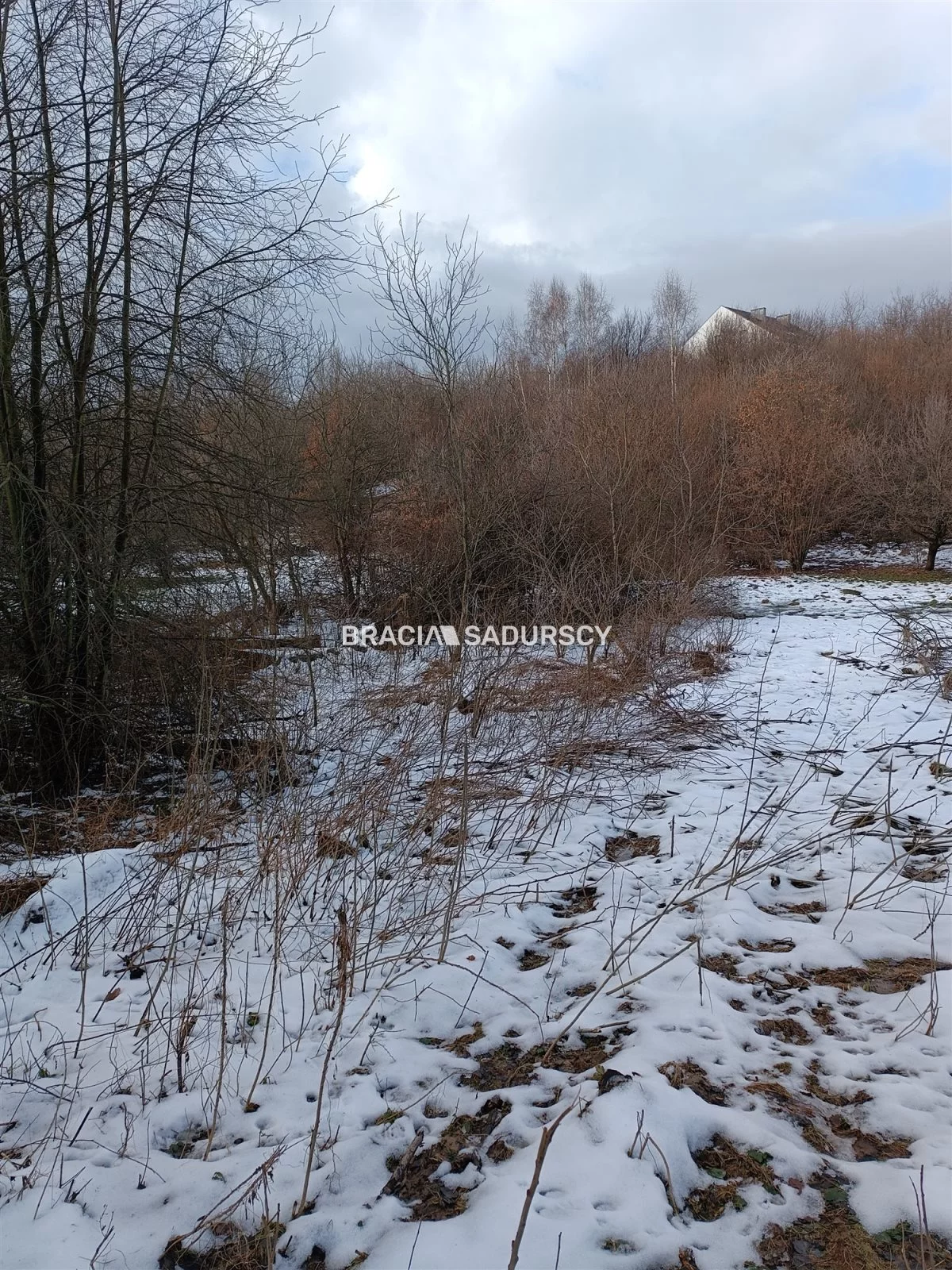 Działka 9 900,00 m², oferta nr , BS1-GS-309616-199, Wieliczka