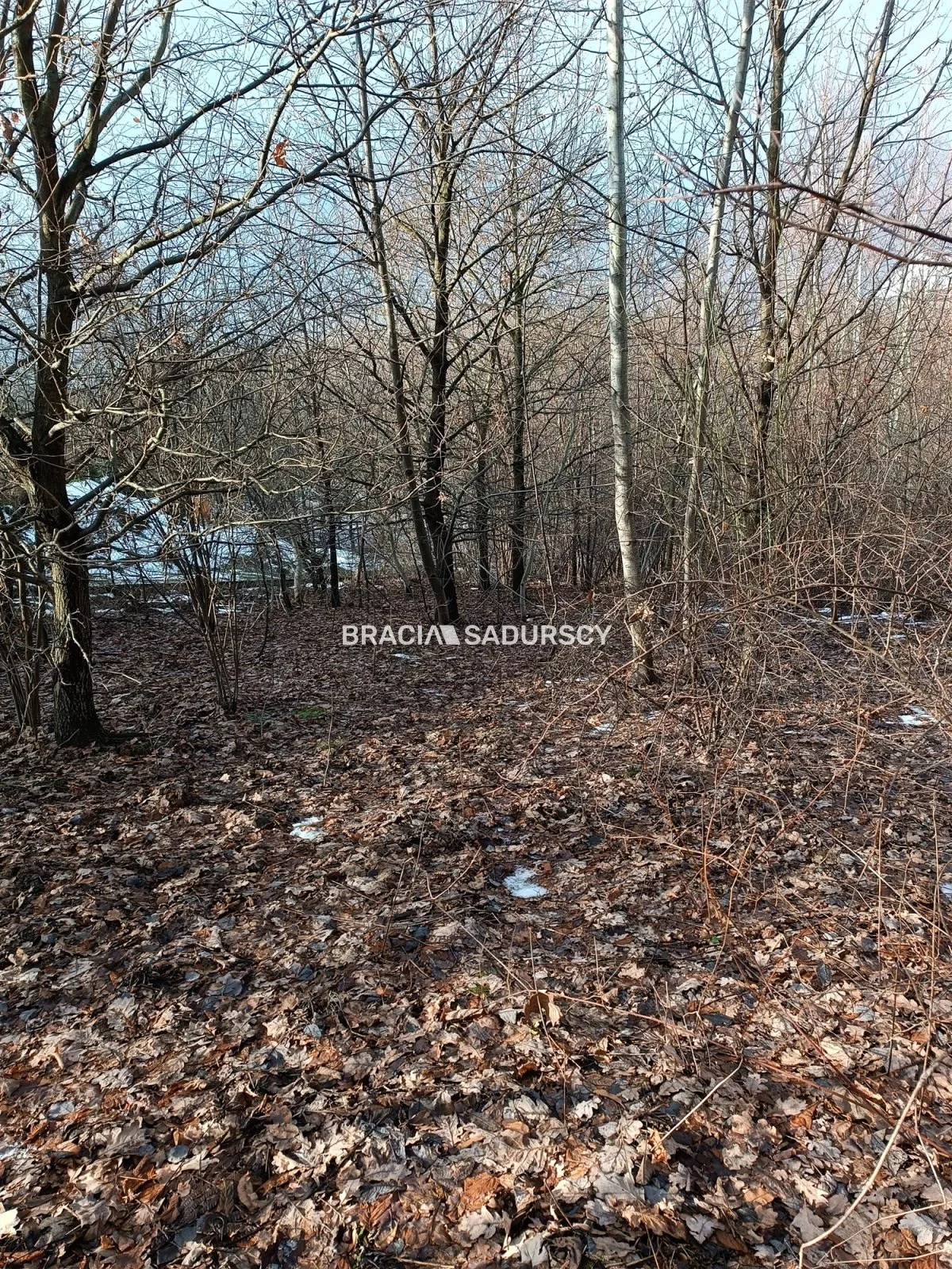 Działka 9 900,00 m², oferta nr , BS1-GS-309616-199, Wieliczka