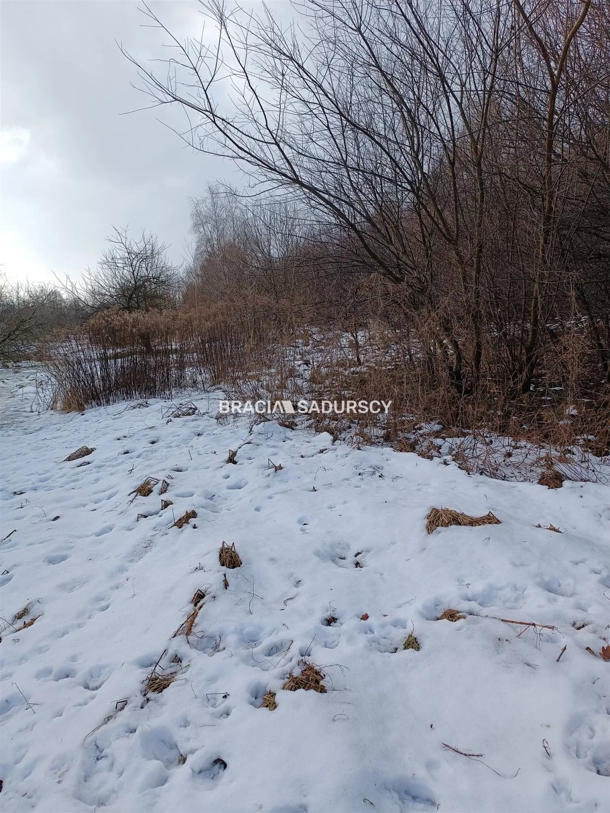 Działka 9 900,00 m², oferta nr , BS1-GS-309616-199, Wieliczka