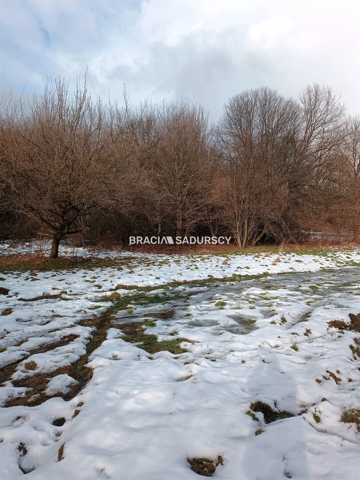 Działka 9 900,00 m², oferta nr , BS1-GS-309616-199, Wieliczka