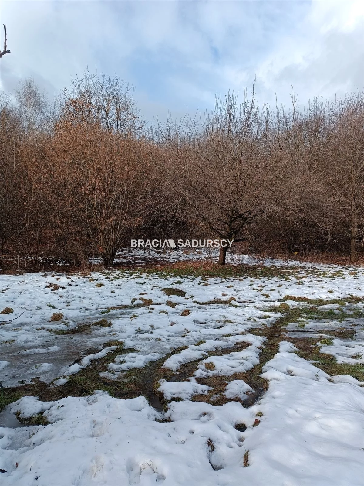 Działka 9 900,00 m², oferta nr , BS1-GS-309616-199, Wieliczka