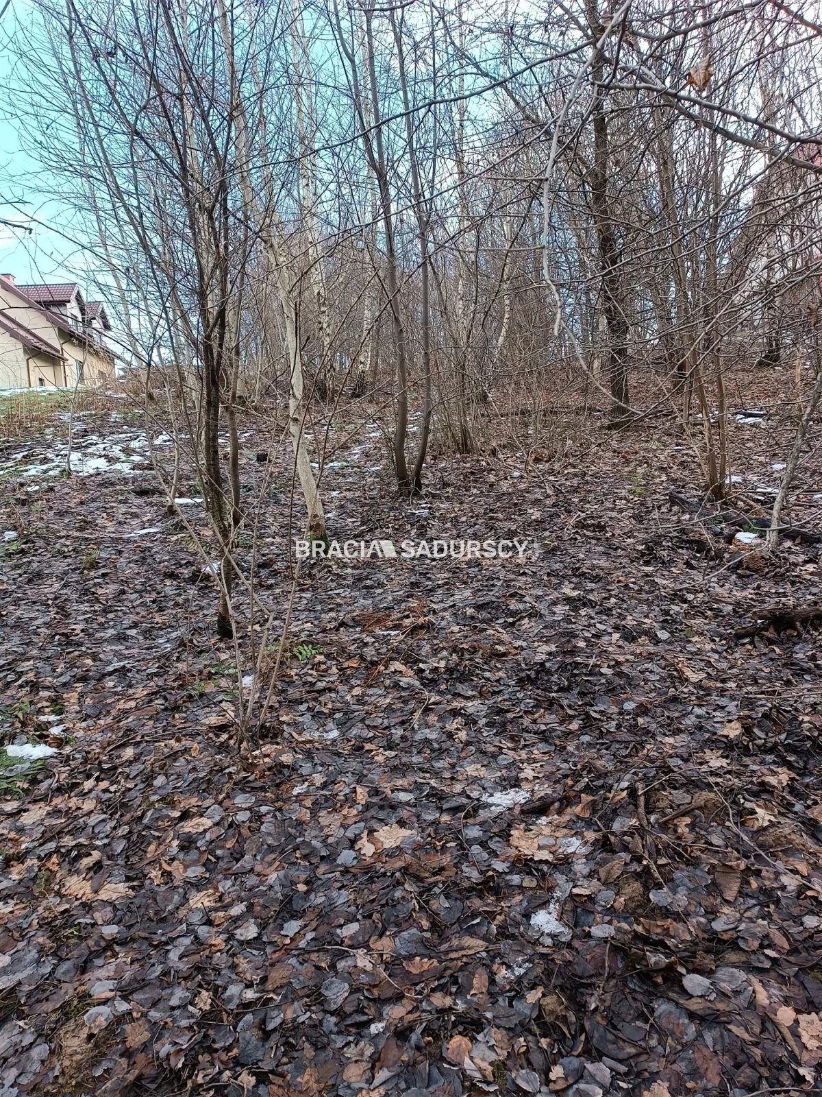 Działka 9 900,00 m², oferta nr , BS1-GS-309616-199, Wieliczka