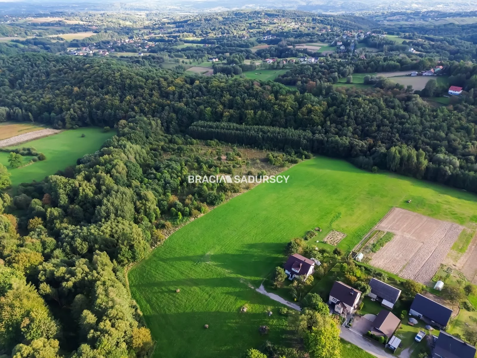 Działka 25 251,00 m², oferta nr , BS3-GS-311669, Wieliczka