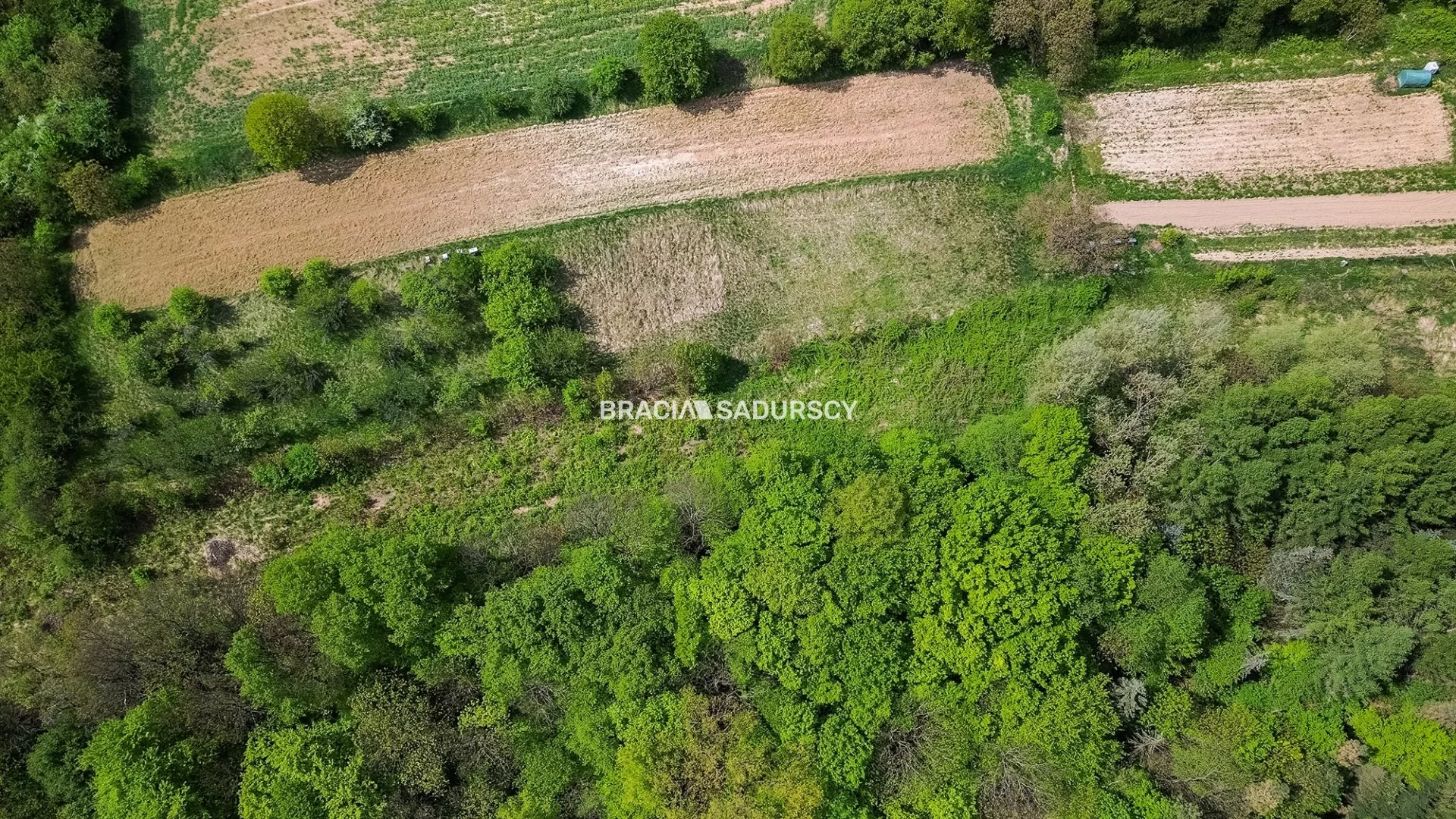 Działka 5 600,00 m², oferta nr , BS2-GS-308774-5, Wielka Wieś