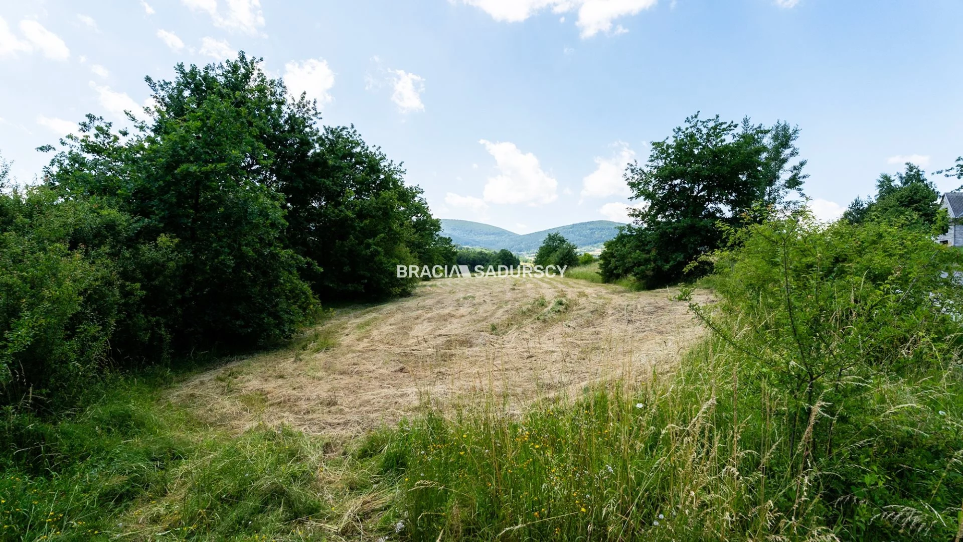 Działka 3 800,00 m², oferta nr , BS2-GS-310391-1, Wiśniowa