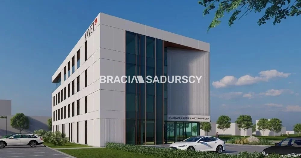 BS2-LW-309769-2 - zdjęcie nr 4