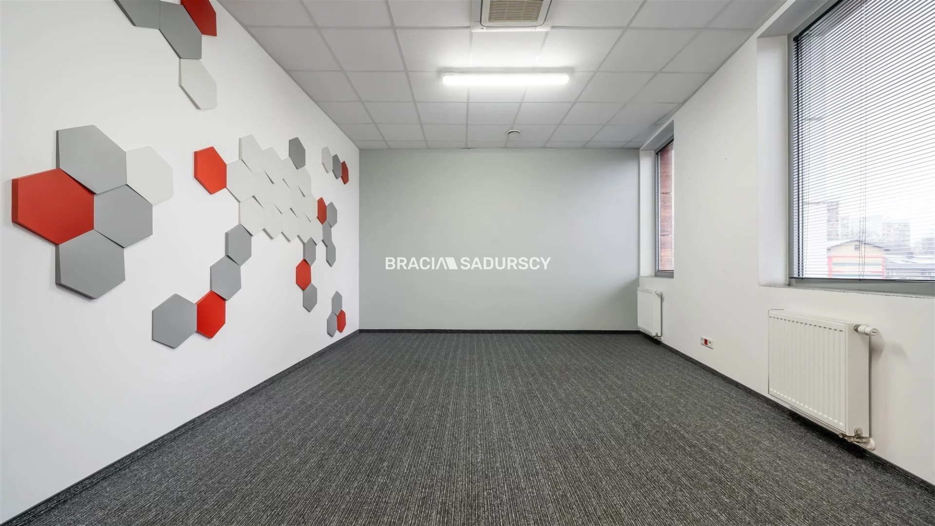 Lokal użytkowy 250,10 m², oferta nr , BS2-LW-306167-13, Kraków, Dębniki, Zakrzówek, jana Brożka