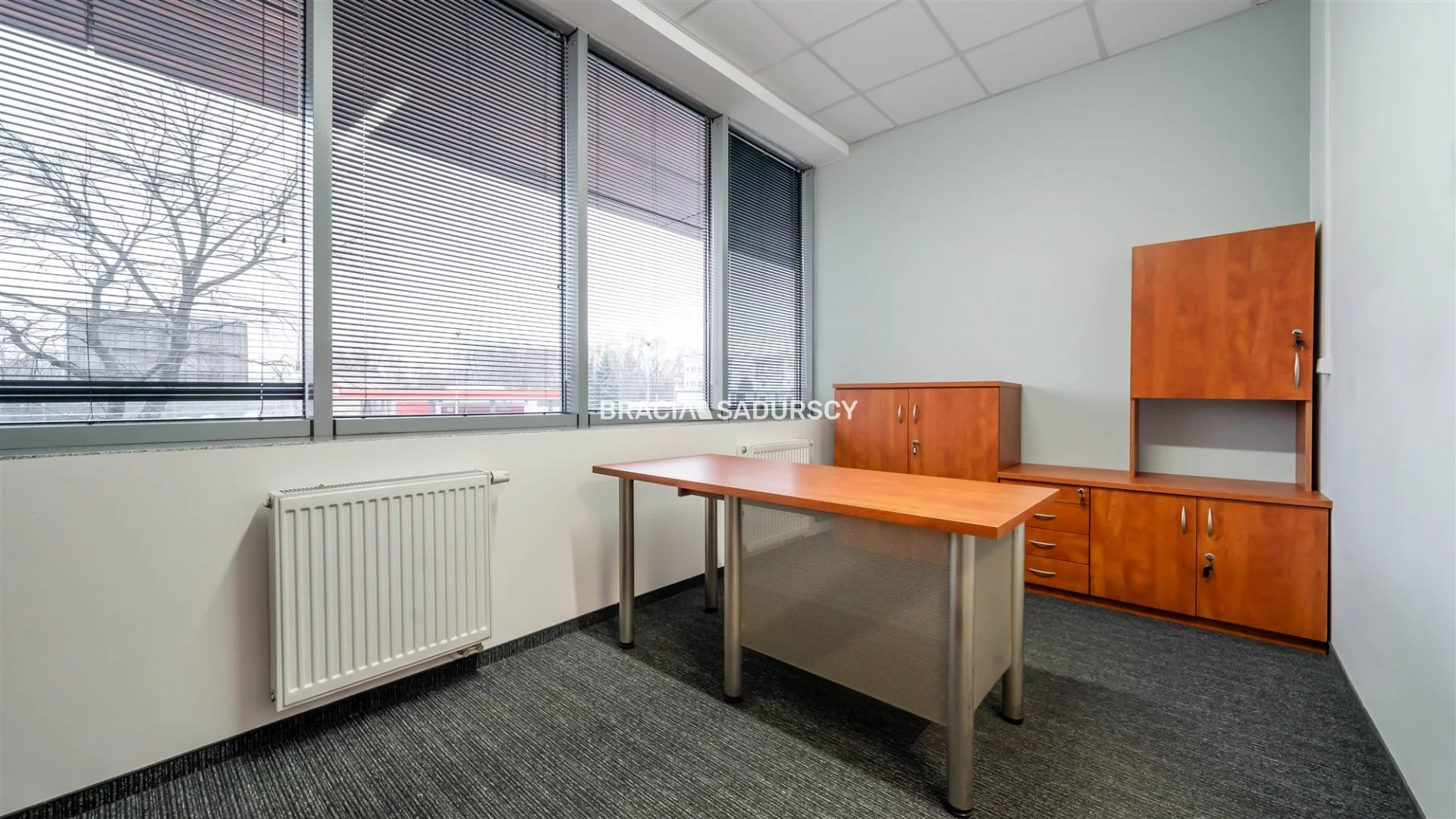 Lokal użytkowy 250,10 m², oferta nr , BS2-LW-306167-13, Kraków, Dębniki, Zakrzówek, jana Brożka