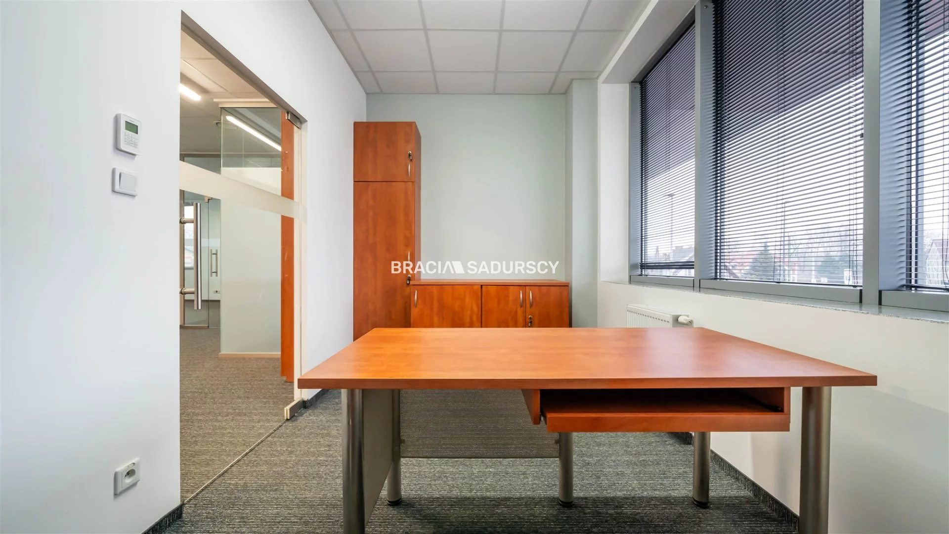 Lokal użytkowy 250,10 m², oferta nr , BS2-LW-306167-13, Kraków, Dębniki, Zakrzówek, jana Brożka