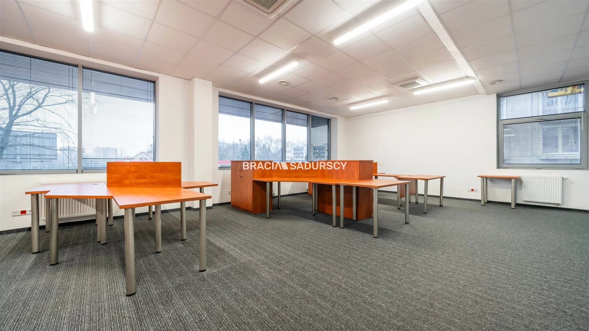 Lokal użytkowy 250,10 m², oferta nr , BS2-LW-306167-13, Kraków, Dębniki, Zakrzówek, jana Brożka
