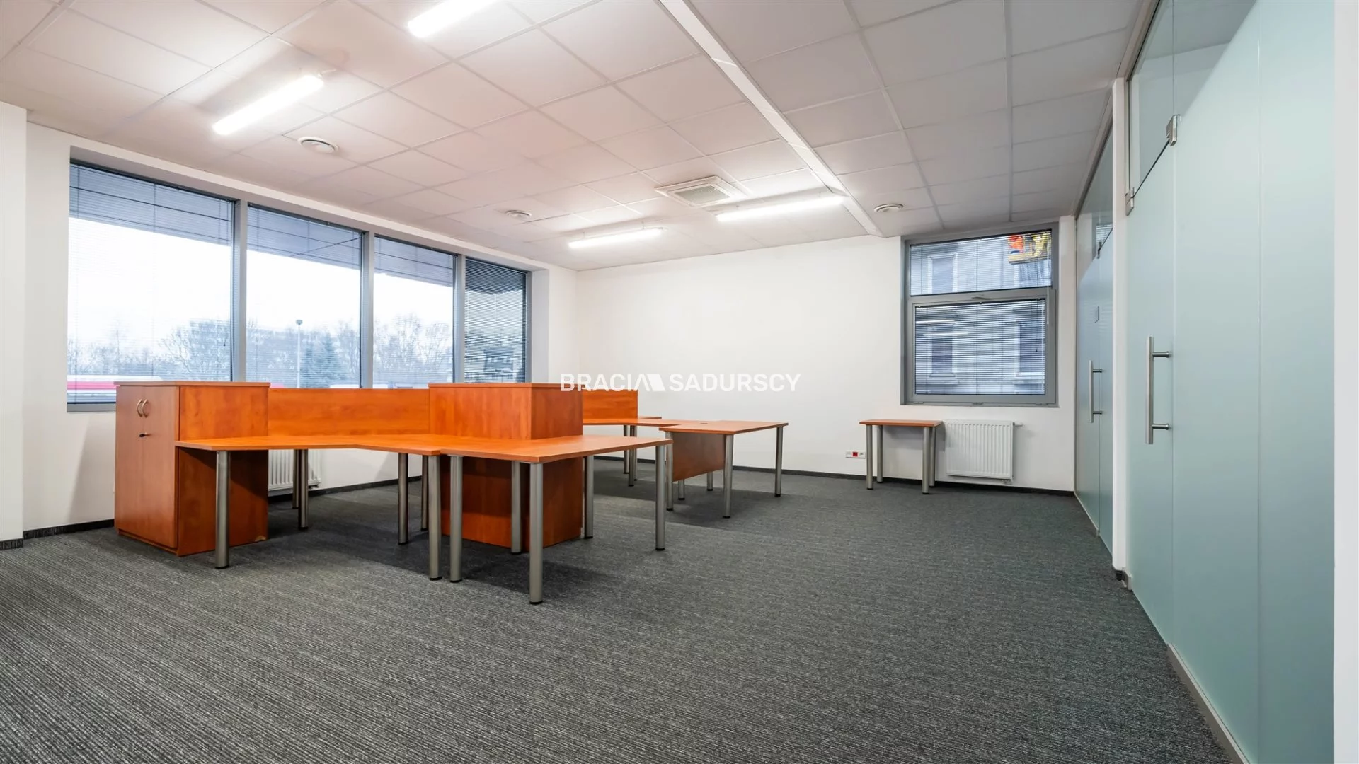 Lokal użytkowy 250,10 m², oferta nr , BS2-LW-306167-13, Kraków, Dębniki, Zakrzówek, jana Brożka