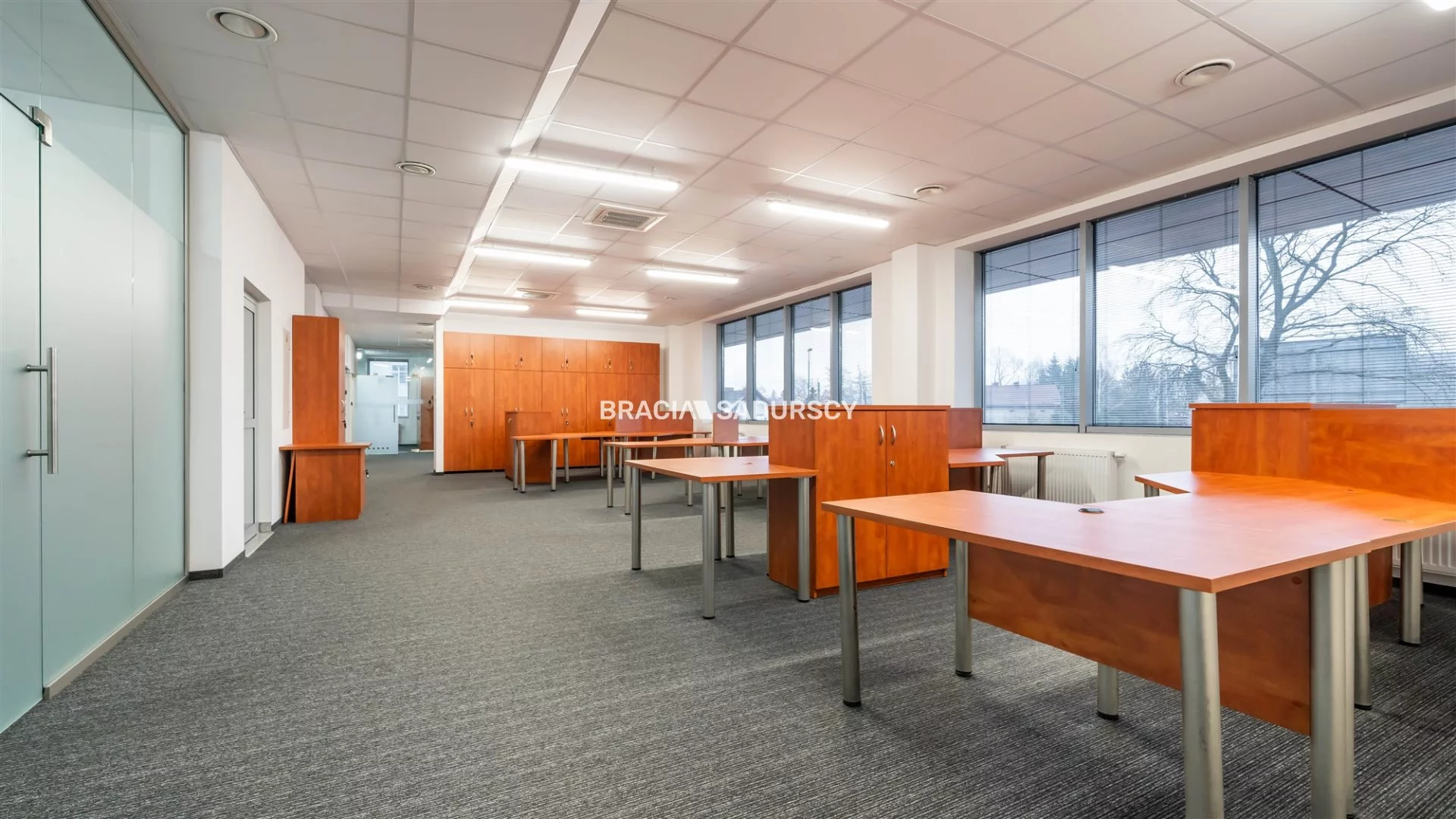 Lokal użytkowy 250,10 m², oferta nr , BS2-LW-306167-13, Kraków, Dębniki, Zakrzówek, jana Brożka