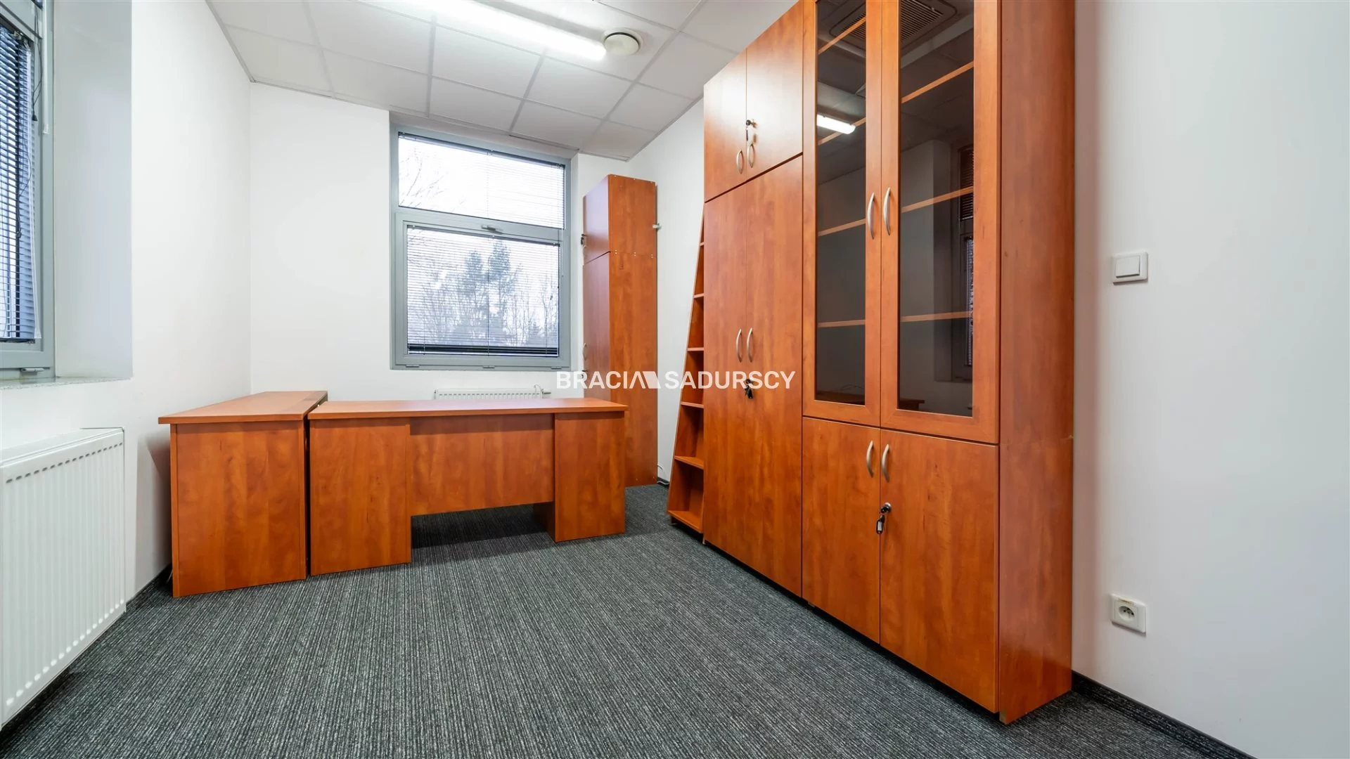 Lokal użytkowy 250,10 m², oferta nr , BS2-LW-306167-13, Kraków, Dębniki, Zakrzówek, jana Brożka