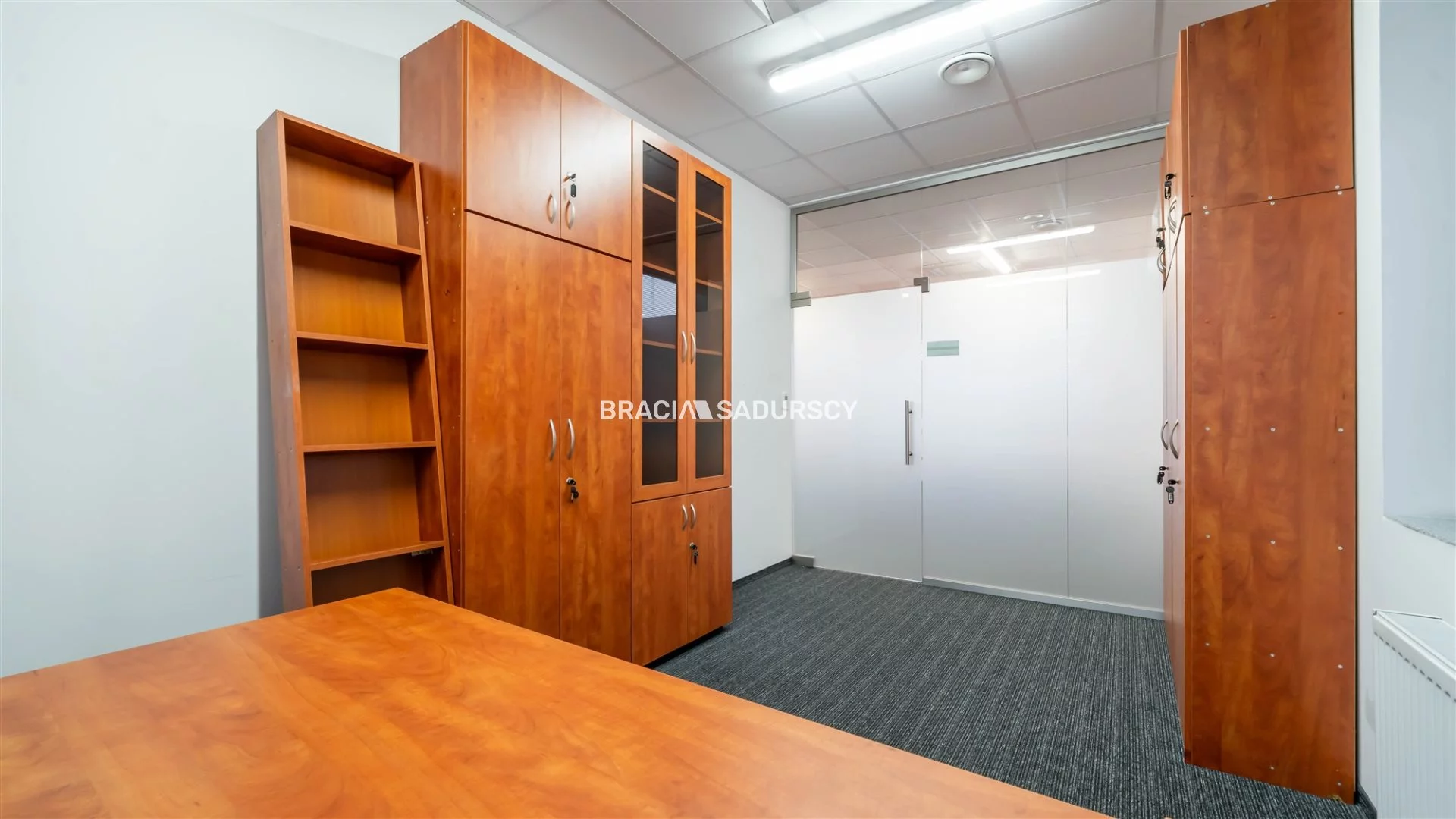 Lokal użytkowy 250,10 m², oferta nr , BS2-LW-306167-13, Kraków, Dębniki, Zakrzówek, jana Brożka