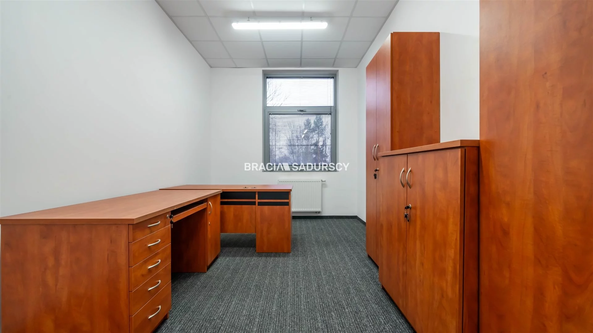 Lokal użytkowy 250,10 m², oferta nr , BS2-LW-306167-13, Kraków, Dębniki, Zakrzówek, jana Brożka
