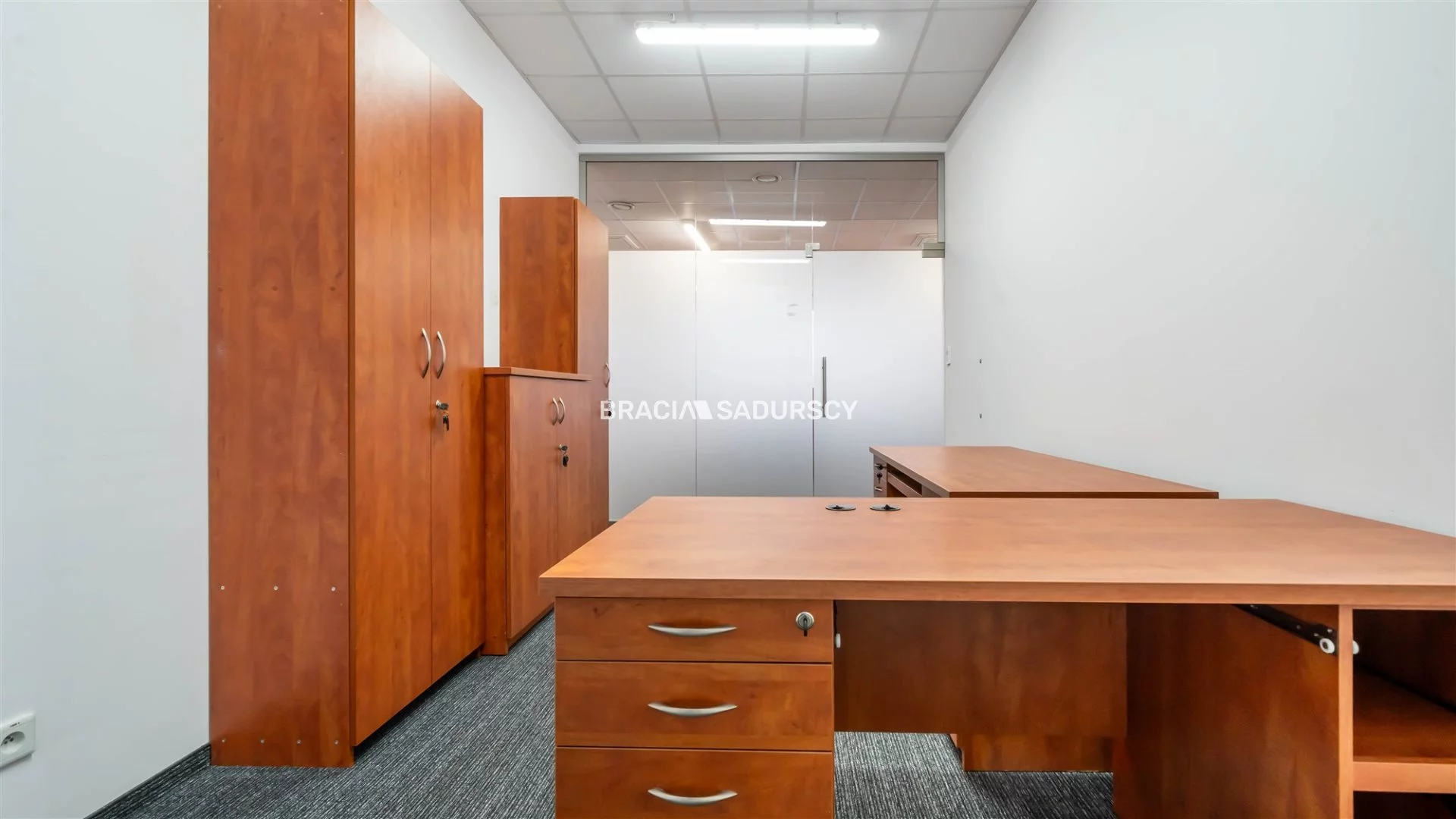 Lokal użytkowy 250,10 m², oferta nr , BS2-LW-306167-13, Kraków, Dębniki, Zakrzówek, jana Brożka