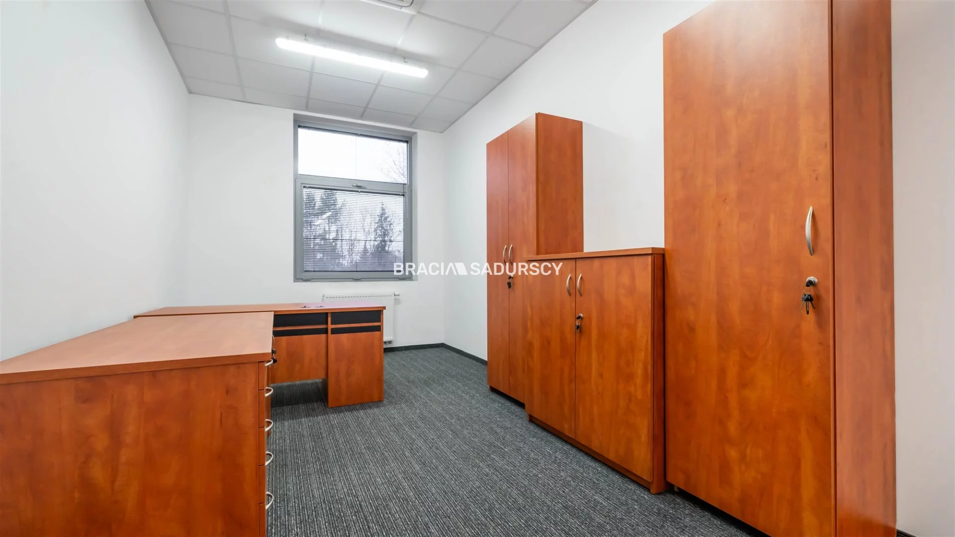 Lokal użytkowy 250,10 m², oferta nr , BS2-LW-306167-14, Kraków, Dębniki, Zakrzówek, jana Brożka