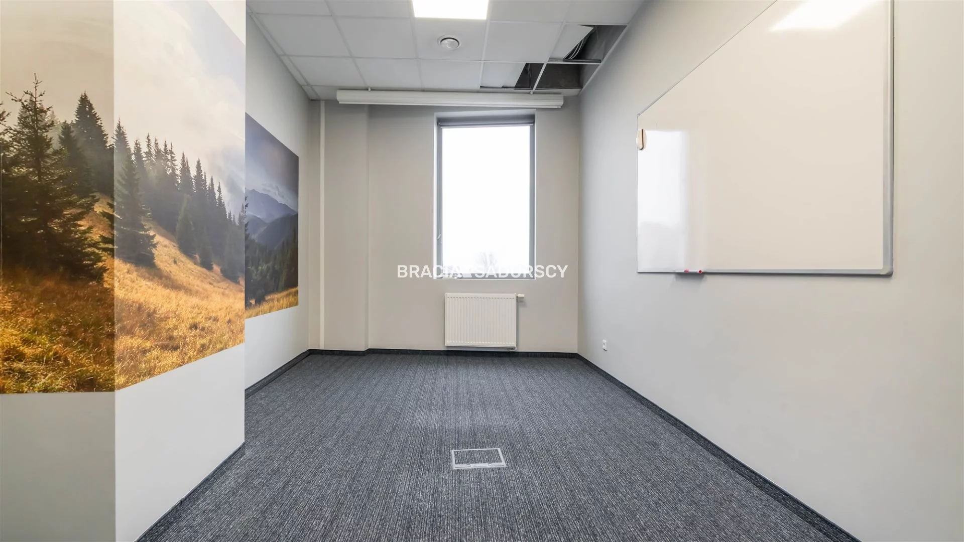 Lokal użytkowy 403,47 m², oferta nr , BS2-LW-306206-14, Kraków, Dębniki, Zakrzówek, Jana Brożka