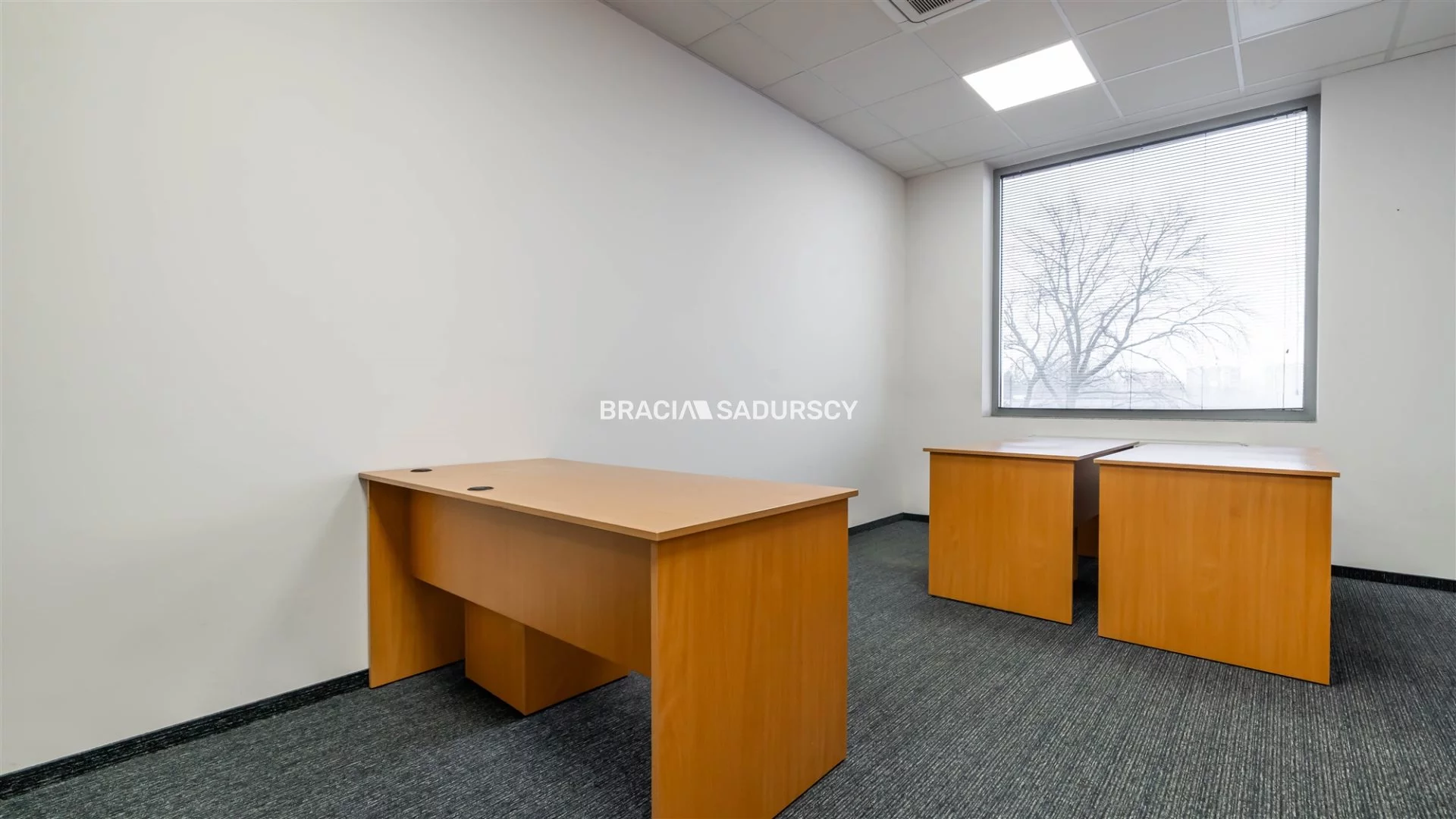 Lokal użytkowy 168,72 m², oferta nr , BS2-LW-306205-14, Kraków, Dębniki, Zakrzówek, Jana Brożka