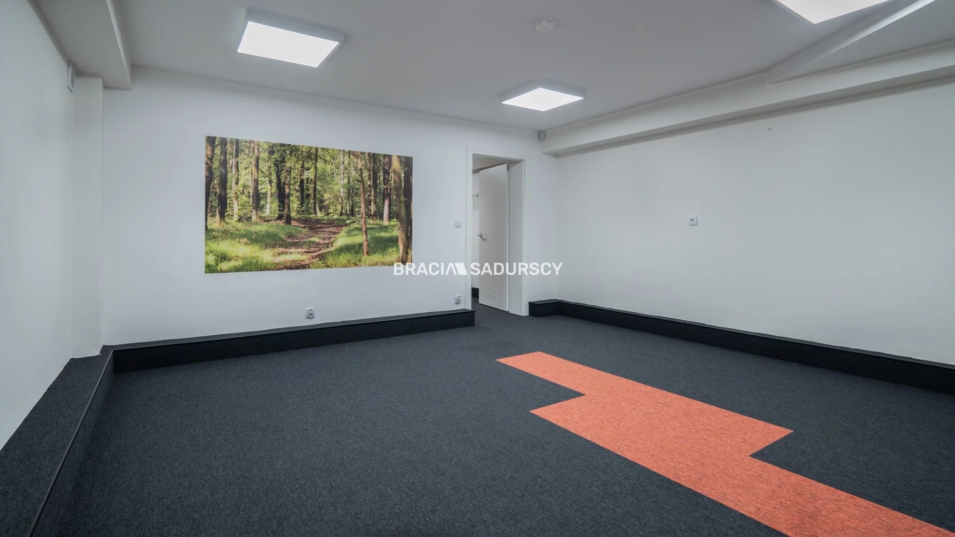 Lokal użytkowy 300,00 m², oferta nr , BS2-LW-308046-7, Kraków, Krowodrza, Juliusza Lea
