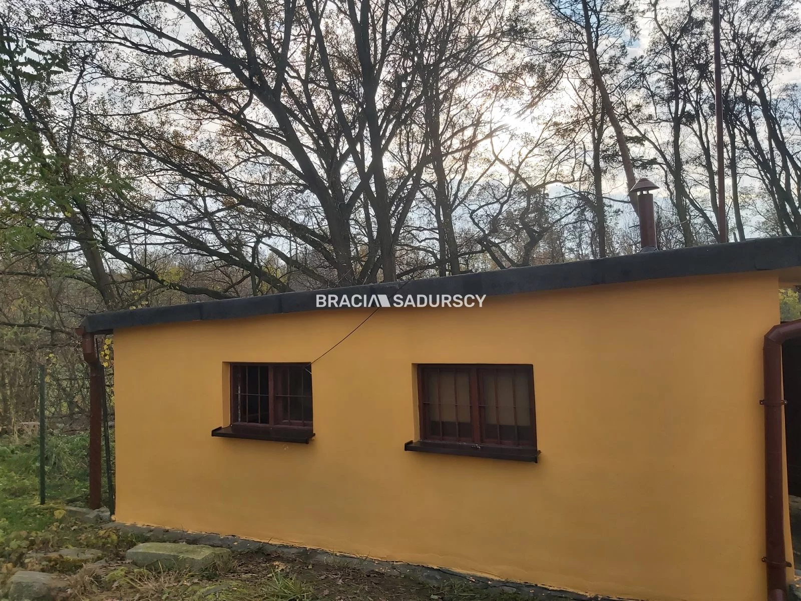 BS2-BS-295571-47 - zdjęcie nr 2