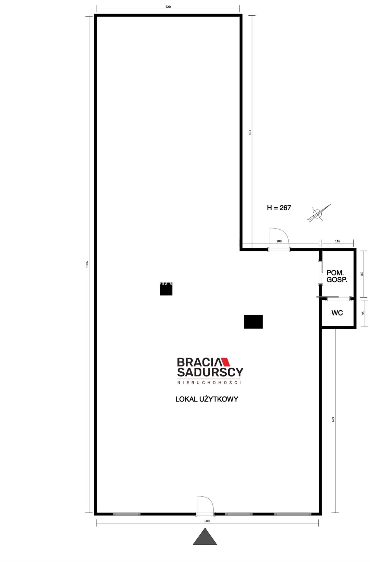 Lokal użytkowy 260,00 m², oferta nr , BS3-LS-311101, Nowe Brzesko, Nowy Rynek