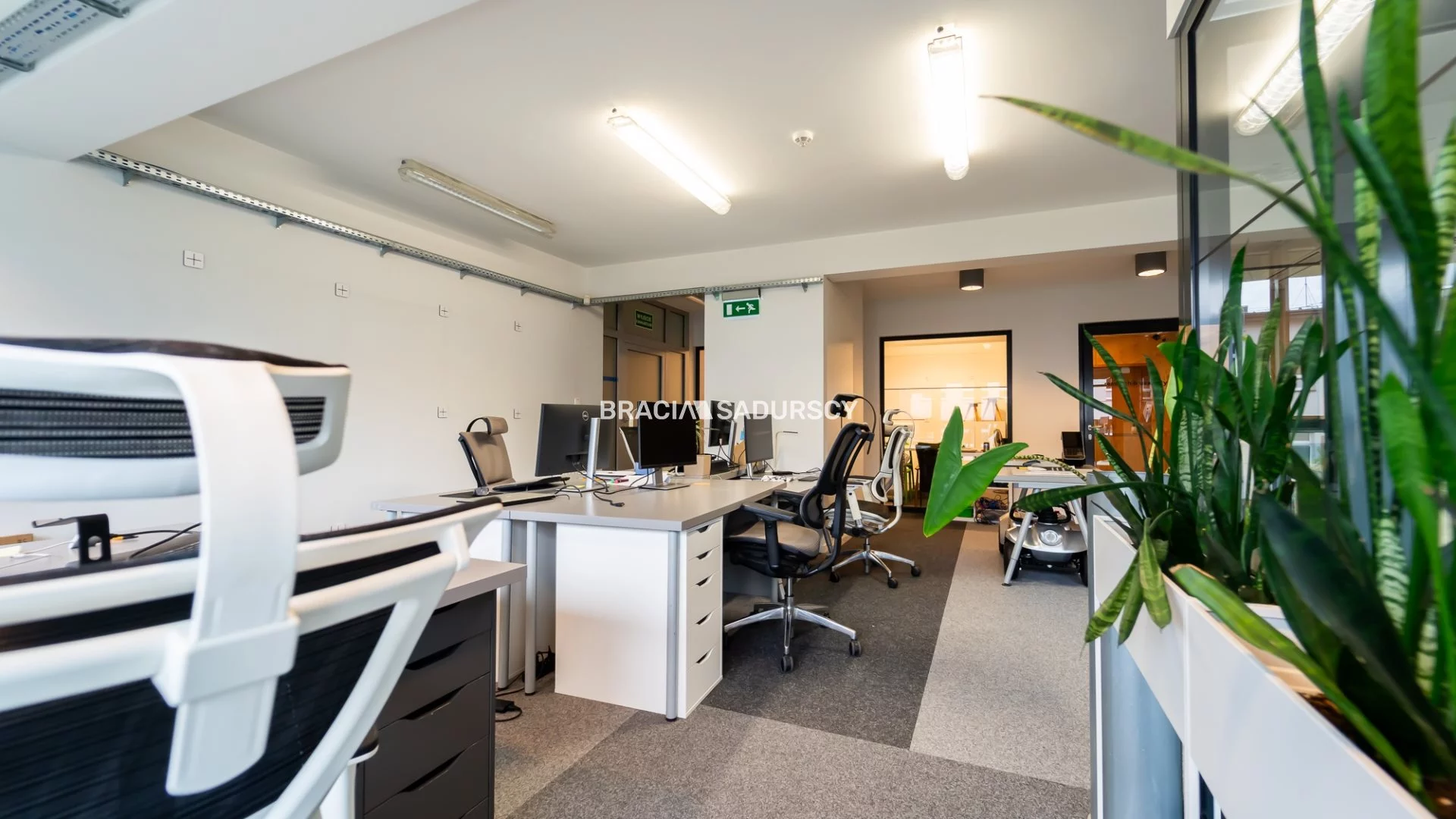 Lokal użytkowy 556,50 m², oferta nr , BS2-LS-307152-20, Kraków, Podgórze, Zabłocie, Przemysłowa