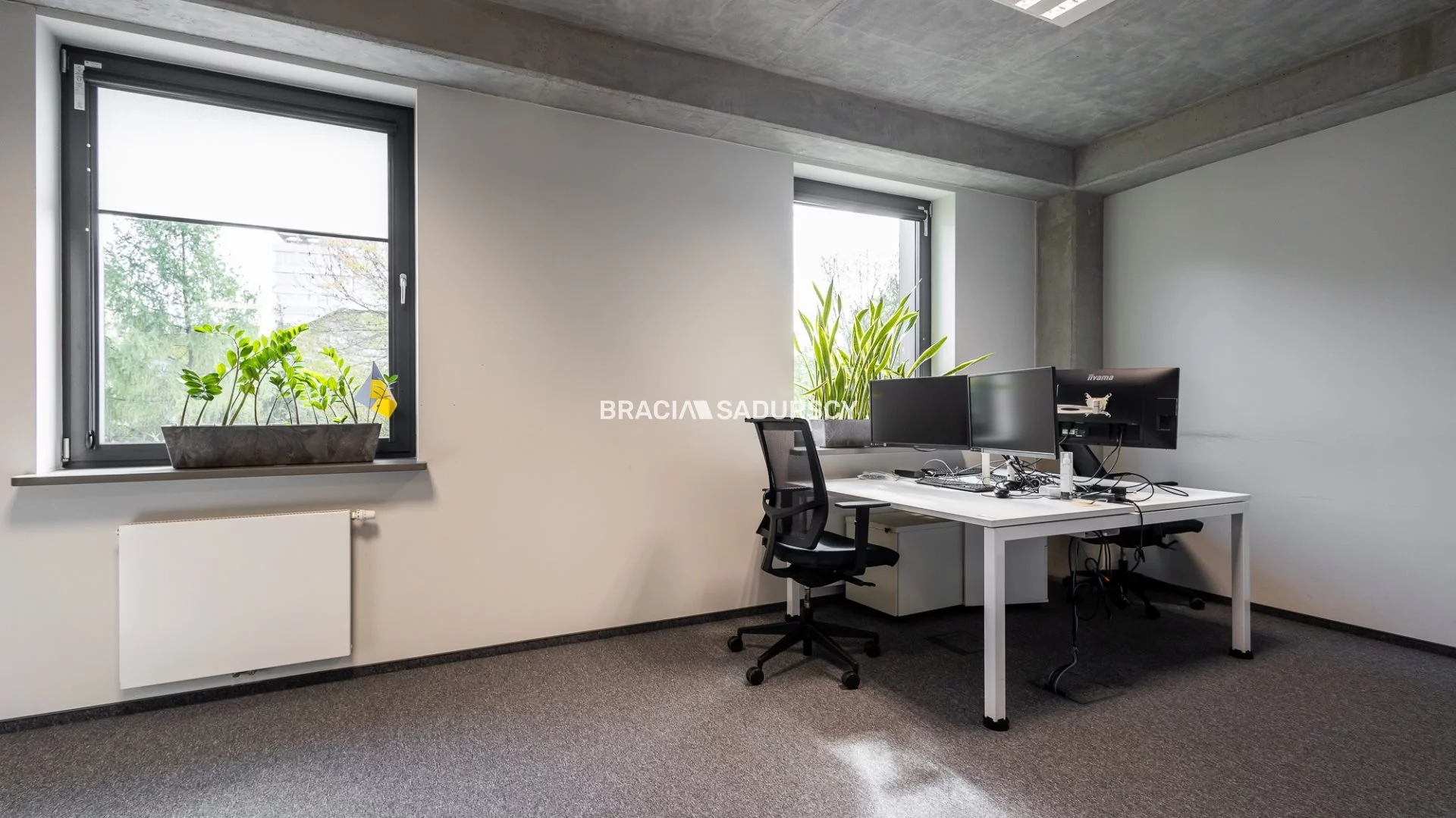 Biuro 736,19 m², oferta nr , BS3-LW-301151-50, Kraków, Stare Miasto, Stare Miasto, Szlak