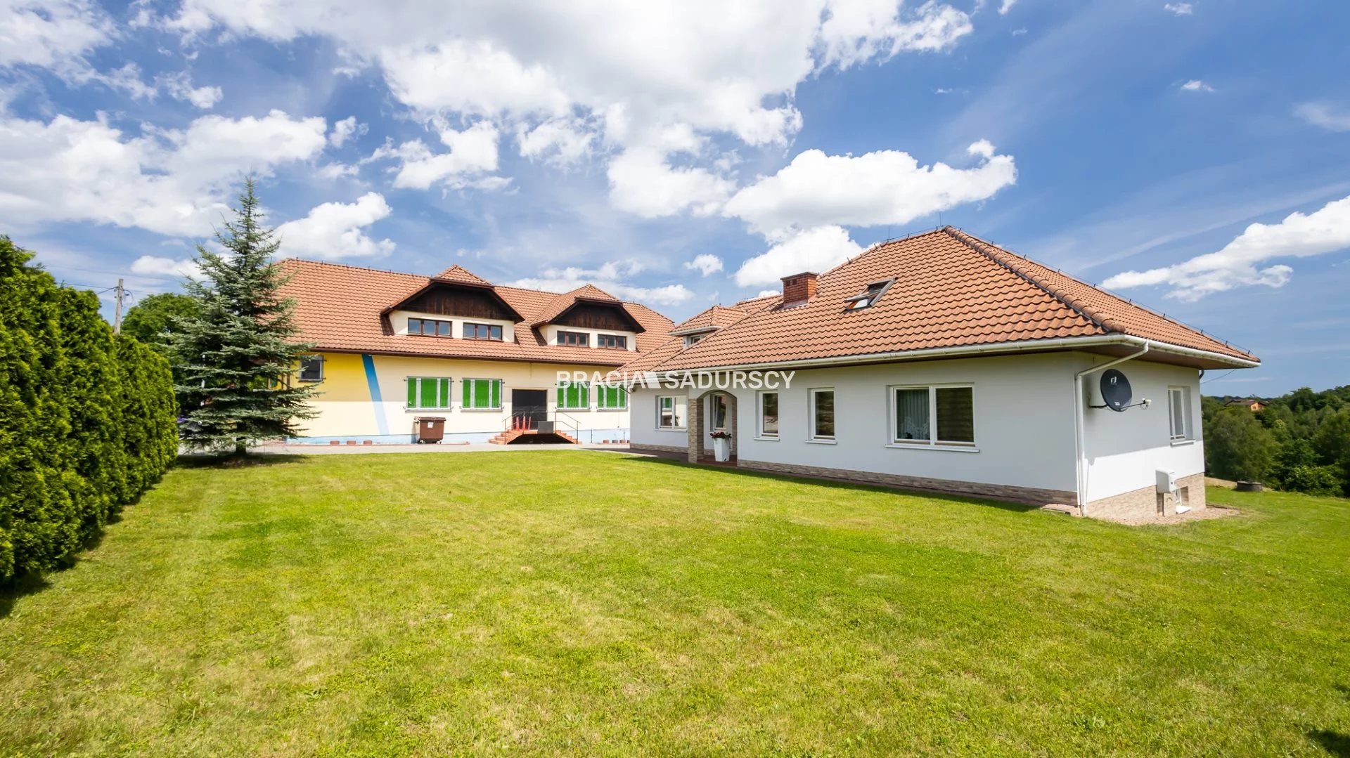 BS5-BS-306666-31 - zdjęcie nr 2