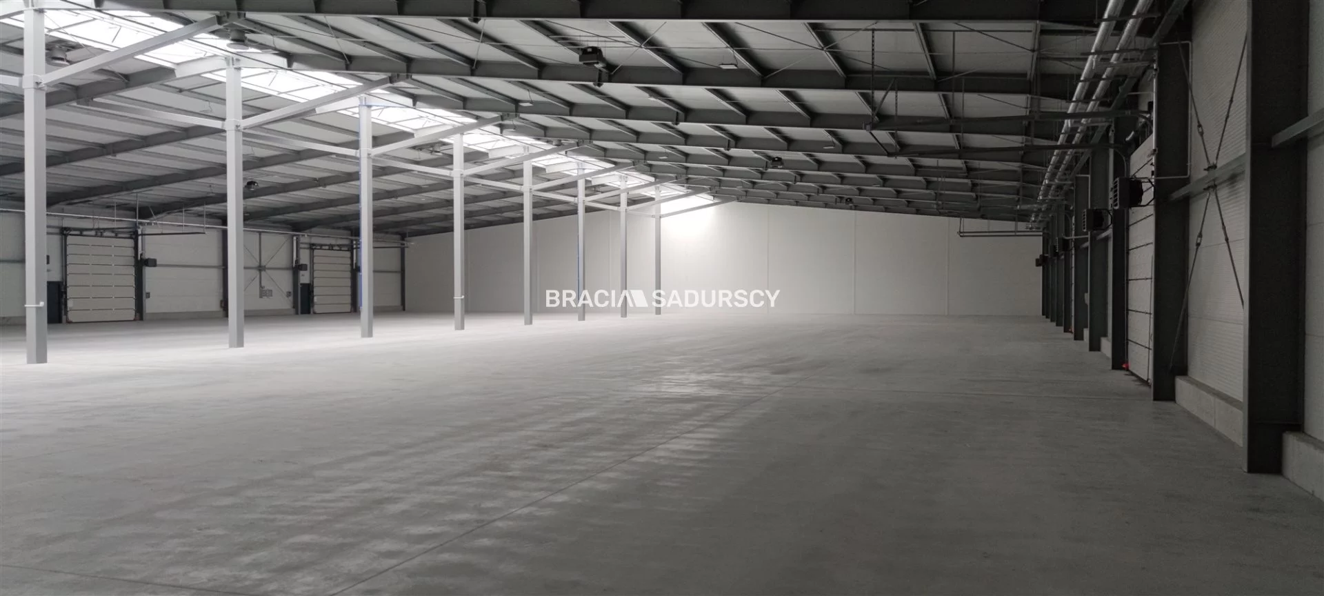 Magazyn 2 600,00 m², oferta nr , BS3-HW-278171-5, Niepołomice, Grabska