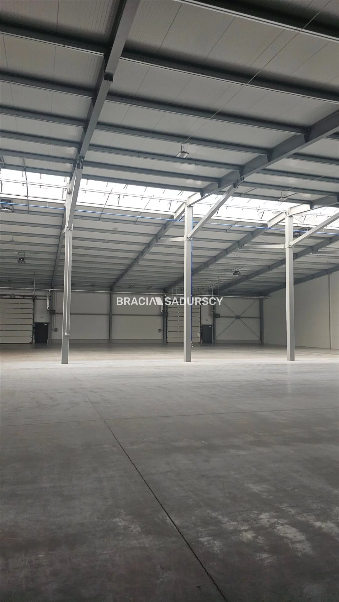 Magazyn 2 600,00 m², oferta nr , BS3-HW-278171-5, Niepołomice, Grabska
