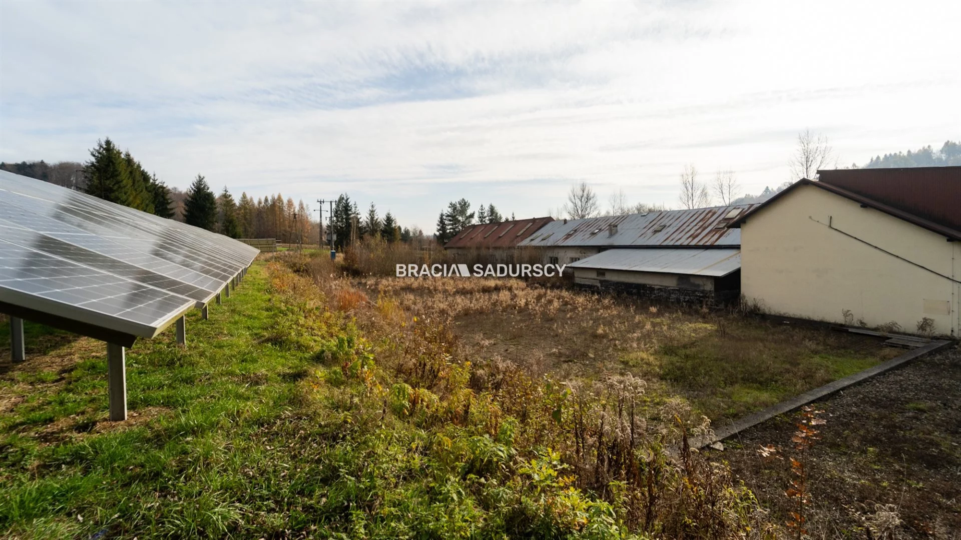 Magazyn 1 591,00 m², oferta nr , BS2-BS-304985-15, Kalwaria Zebrzydowska