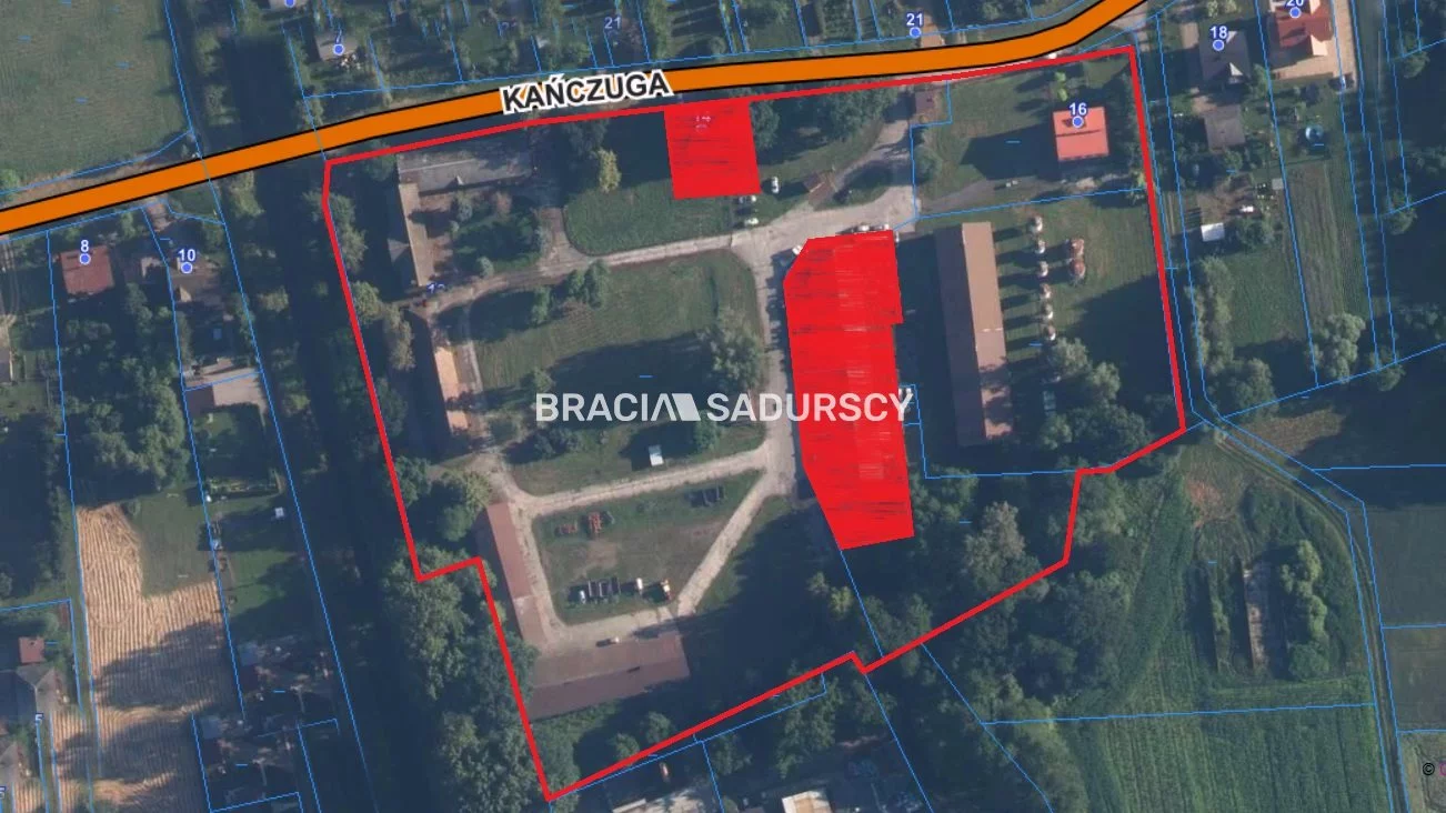 BS5-BS-298299-63 - zdjęcie nr 1