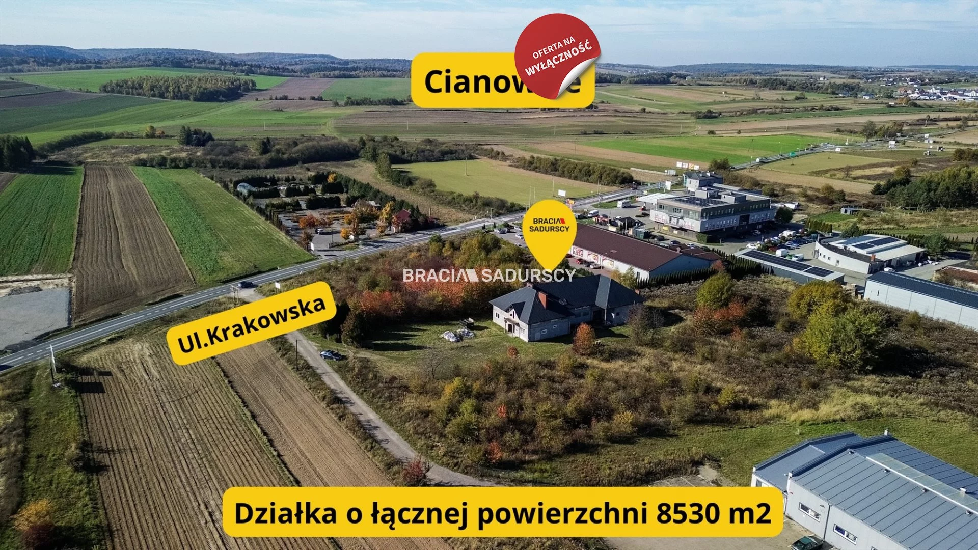 Magazyn 900,00 m², Skała, Krakowska, Sprzedaż