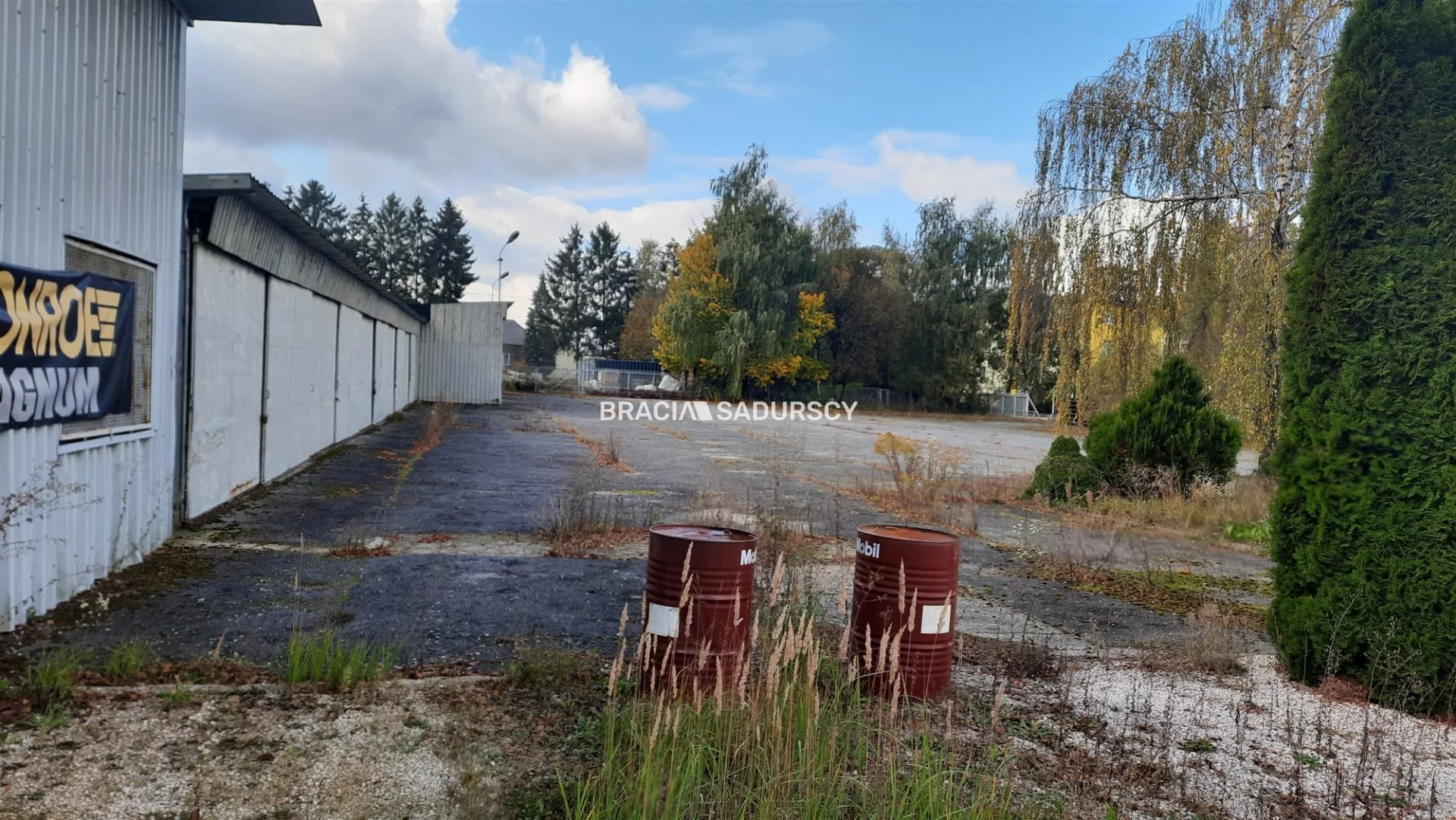 Magazyn 10 329,00 m², oferta nr , BS5-HS-286258-132, Charsznica, Miechowska