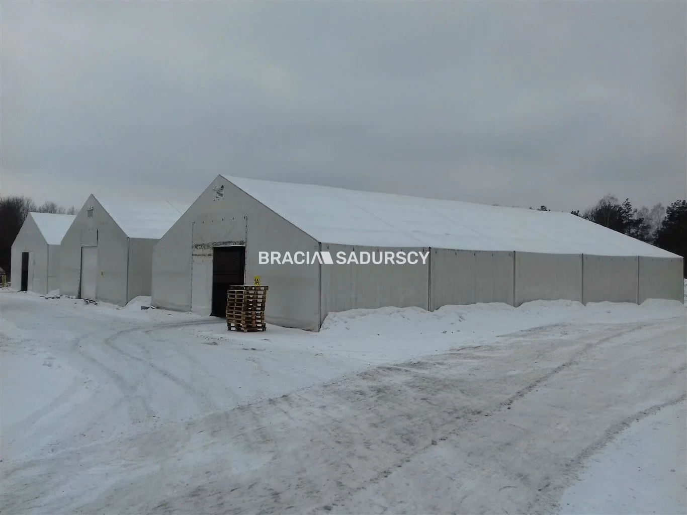 Magazyn 88 700,00 m², oferta nr , BS3-BS-248616-25, Smyków