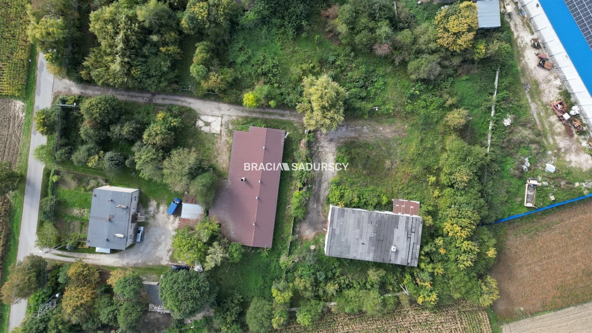 BS5-HS-305987-22 - zdjęcie nr 0